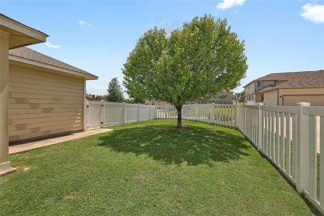Back Yard | Image 24