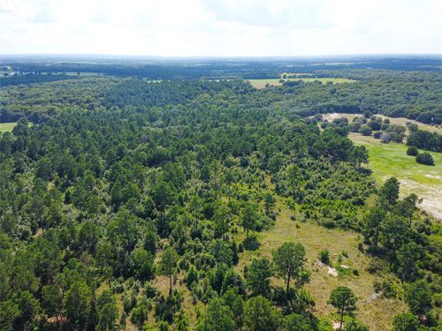 TBD Vz County Road 4702, Ben Wheeler, TX, 75754 | Card Image