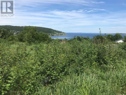 0 Browns Rd, Spaniard's Bay, NL, A0A3X0 | Card Image