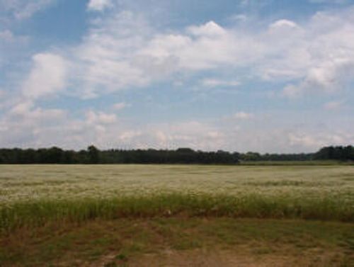 2152 17 Mile Rd, Kent City, MI, 49330-9797 | Card Image