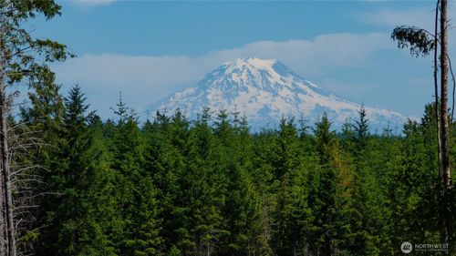 20 E Cascade Vw, Allyn, WA, 98524 | Card Image