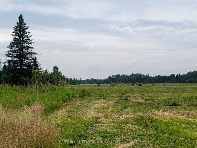 386181 Boundry Rd, House other with 3 bedrooms, 1 bathrooms and 10 parking in Englehart ON | Image 47
