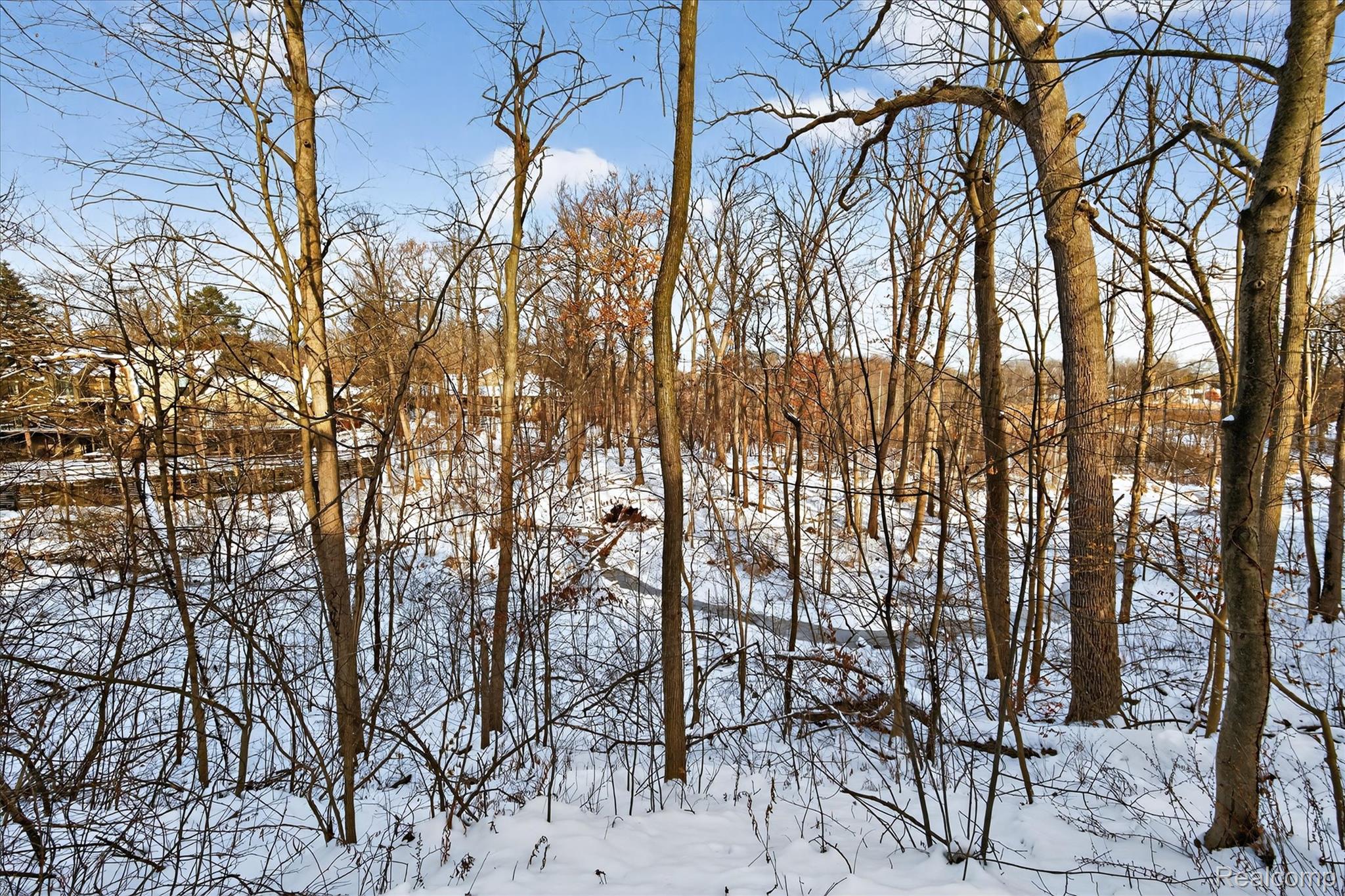 Residential in Bloomfield Hills 4