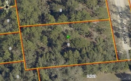 13409 Cormorant Road, Weeki Wachee, FL, 34614 | Card Image