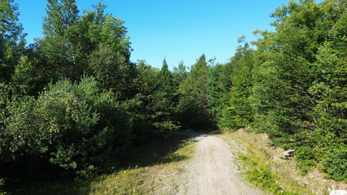 M13L7 Bear Mountain Rd, Fairfield, ME, 04937 | Card Image