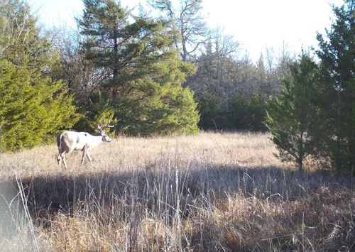 80048 County Road 24200, Roxton, TX, 75477 | Card Image