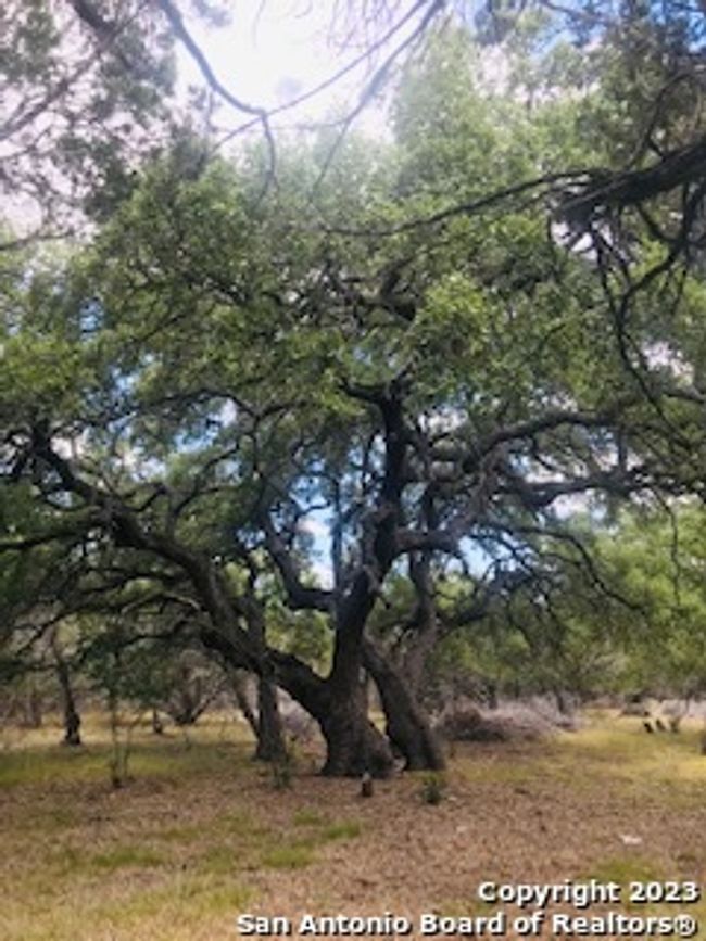 26 Mustang Crossing Dr, Home with 0 bedrooms, 0 bathrooms and null parking in Pipe Creek TX | Image 9