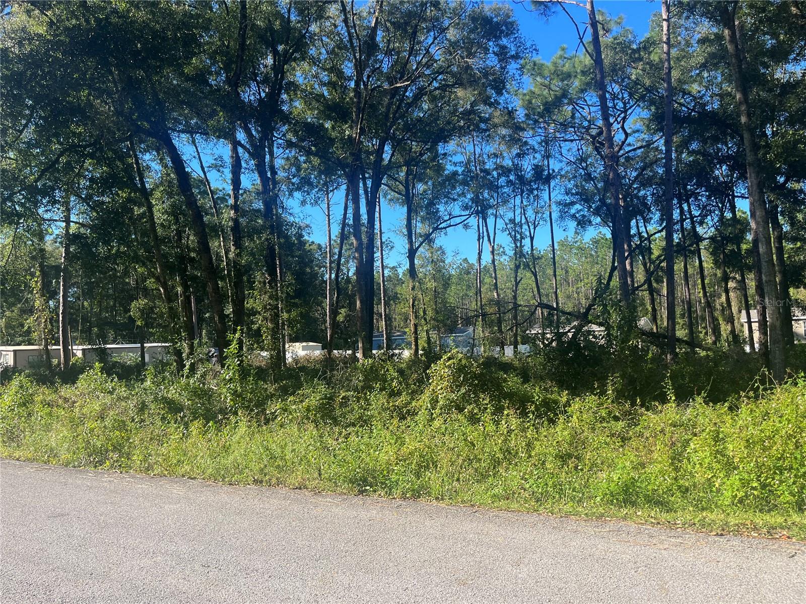 Land in OCALA 2