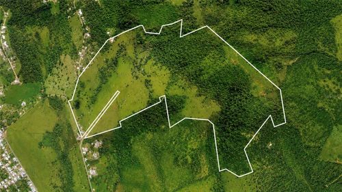 971 KM 14.5 Bo. Duque, NAGUABO, PR, 00718 | Card Image