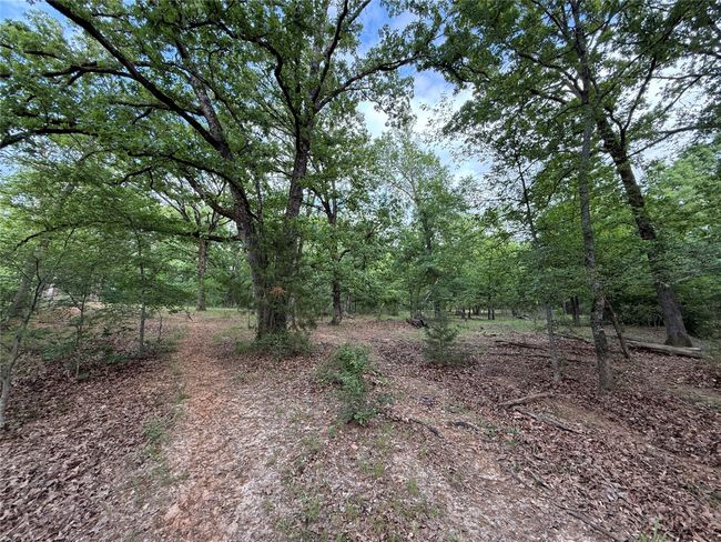 72 N Farm Road 900 N, Home with 0 bedrooms, 0 bathrooms and null parking in Saltillo TX | Image 39