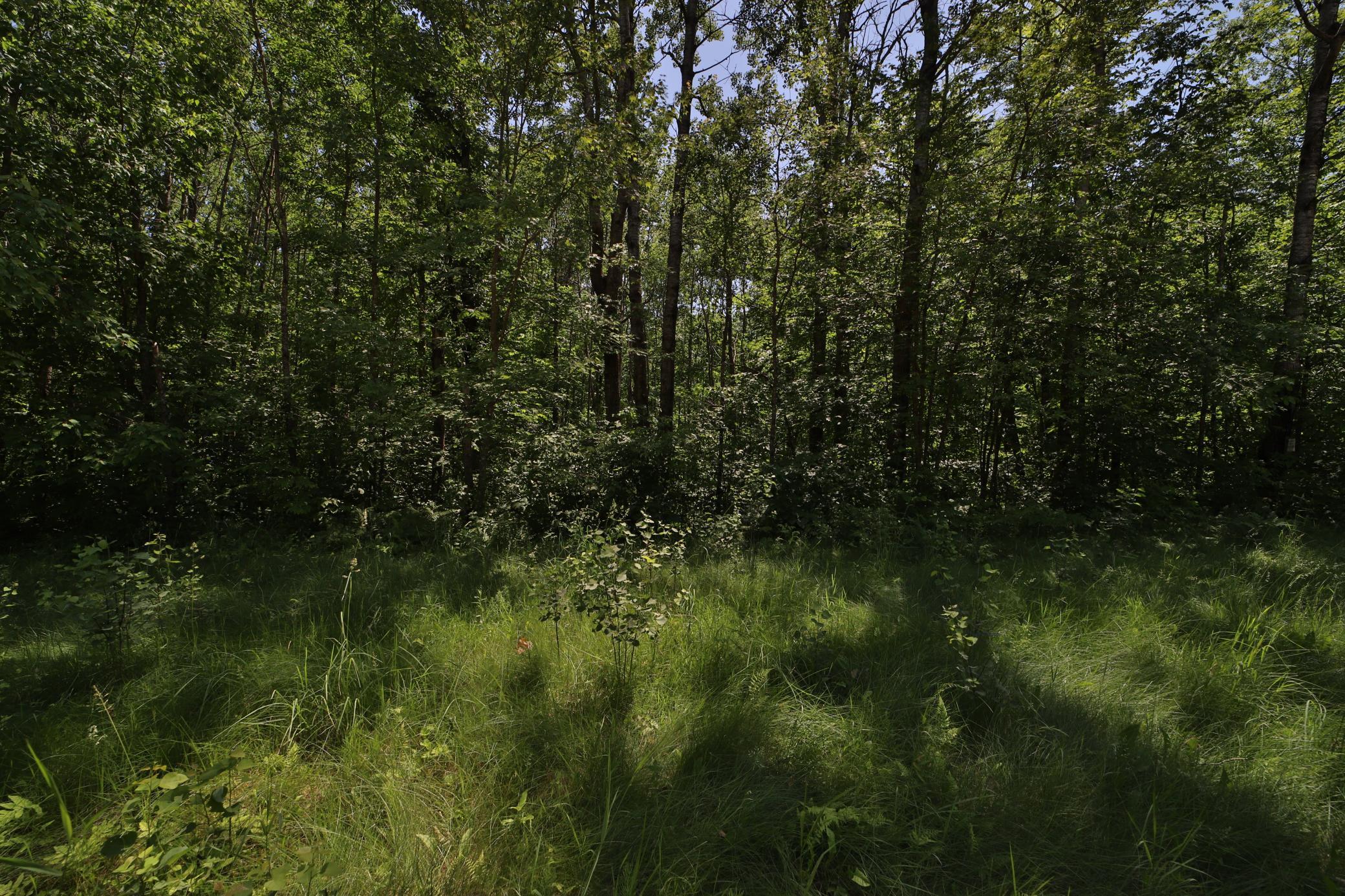 Land in Crosby 5