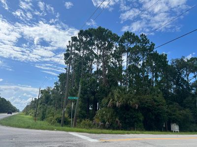 Commercial Retail Vacant Land Corner of Hwy 46 & Mullet Lake Park Rd | Image 1