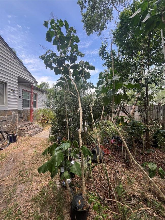 7506 Mott Ave, House other with 3 bedrooms, 2 bathrooms and null parking in ORLANDO FL | Image 39