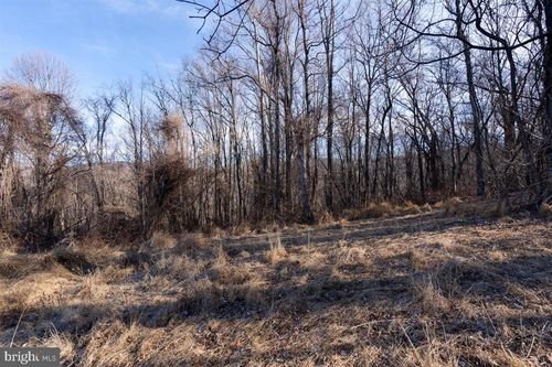 TBD Overlook Mountain Rd, ELKTON, VA, 22827 | Card Image