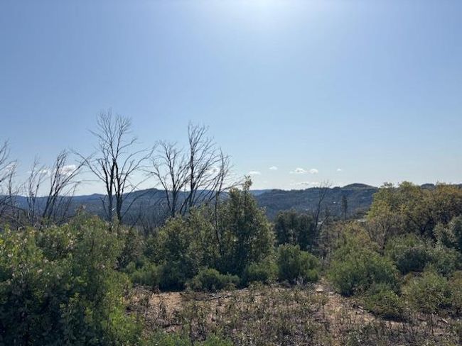 19292 Shawnee Trl, Home with 0 bedrooms, 0 bathrooms and null parking in Mokelumne Hill CA | Image 30