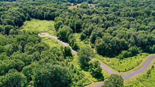 3-web-or-mls-DJI_0122 | Image 23