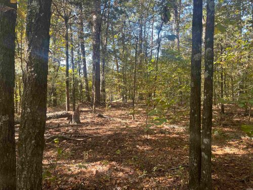 XXX Highway 8 E, Norman, AR, 71960 | Card Image