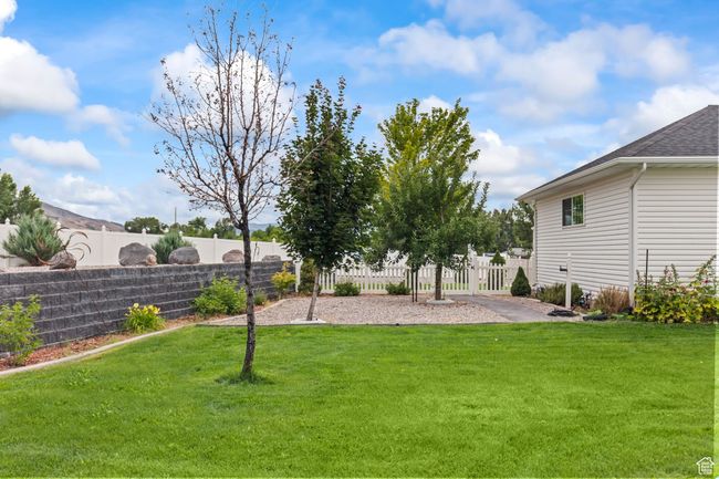 View of fenced backyard | Image 88