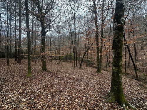 0 Lee Road 270, VALLEY, AL, 36854 | Card Image