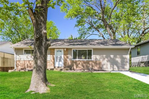 10117 Crown Point Dr, Saint Louis, MO, 63136-4216 | Card Image