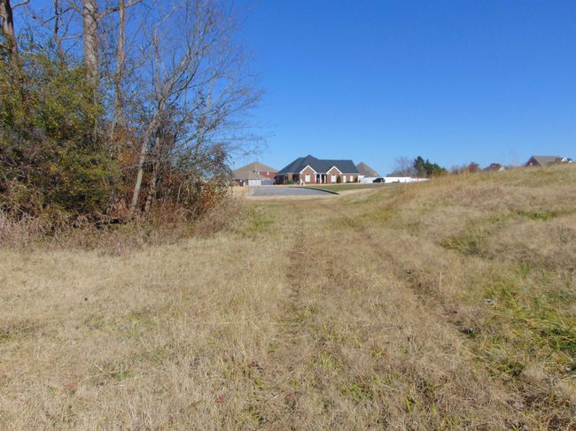 210 Harbor View Dr, Home with 0 bedrooms, 0 bathrooms and null parking in Sheffield AL | Image 5
