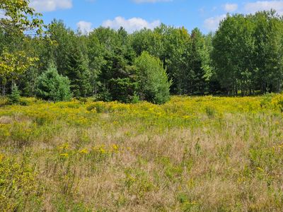 Lot 15 Daigneau Trail, Home with 0 bedrooms, 0 bathrooms and null parking in Merrillsville NY | Image 1