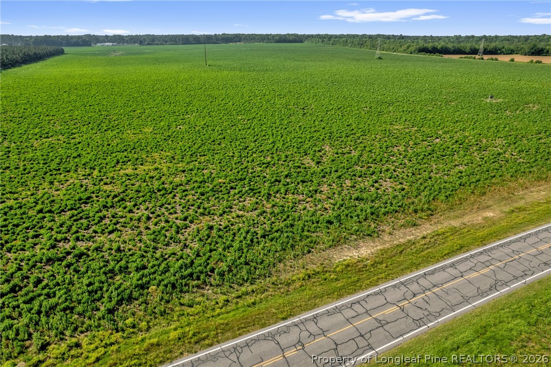 Land in Shannon 4