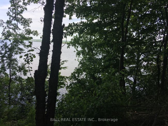 112 Cow Island, Home with 0 bedrooms, 0 bathrooms and null parking in Bailieboro ON | Image 6