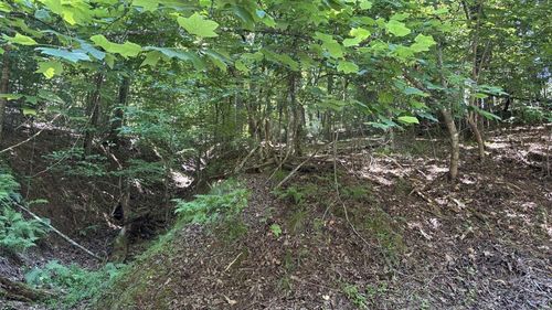 Lot 1178 Optic Ct, Ellijay, GA, 30540 | Card Image