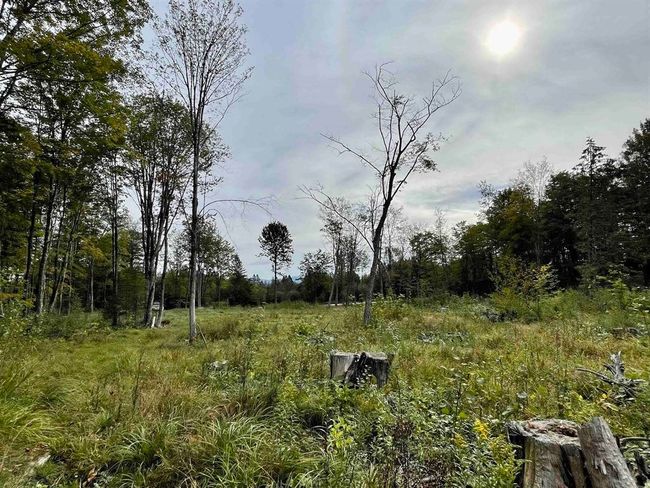 2209 Underpass Rd, Home with 0 bedrooms, 0 bathrooms and null parking in Sutton VT | Image 12