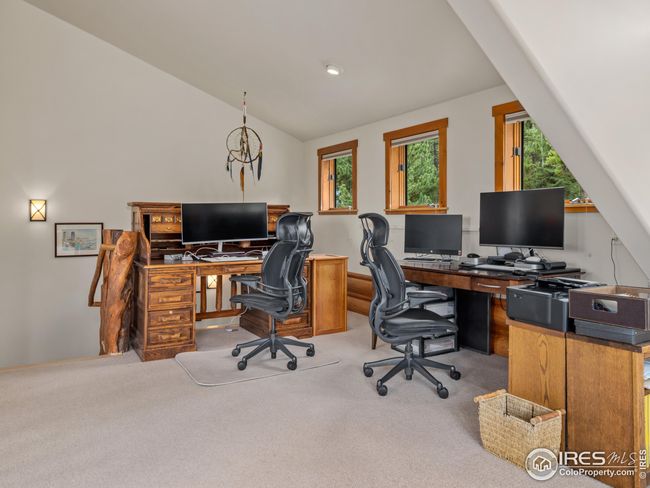 287 S Skinner Rd, House other with 2 bedrooms, 3 bathrooms and null parking in Allenspark CO | Image 19