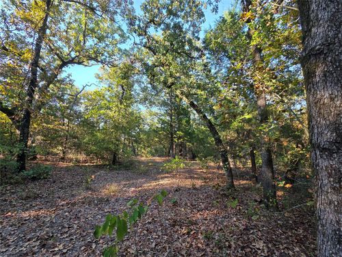 Lot 466 County Road 4710, LaRue, TX, 75770 | Card Image