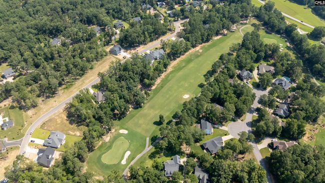 812 Elms Spinney Ln, Home with 0 bedrooms, 0 bathrooms and null parking in Chapin SC | Image 27