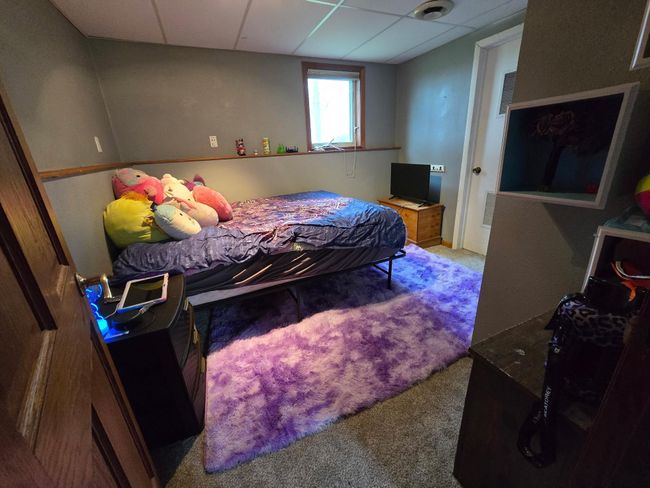 Lower level bedroom with new carpet | Image 10