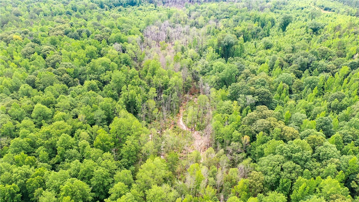 Land in Waverly 3