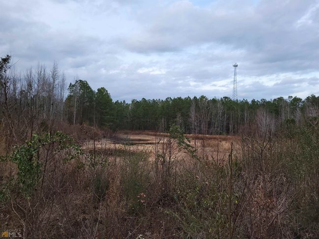 2757 Us Highway 1 N, Home with 0 bedrooms, 0 bathrooms and null parking in swainsboro GA | Image 19