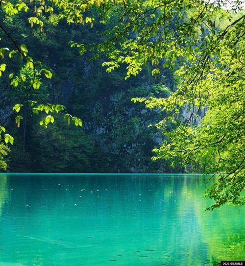 0 Chilkat Lake Rd, Haines, AK, 99827 | Card Image