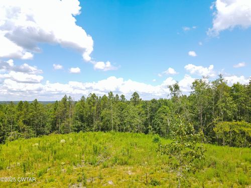 Tract 1 Ray Miller Rd, Sugar Tree, TN, 38380 | Card Image