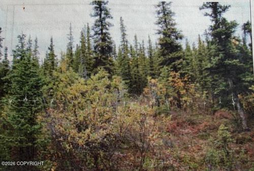 Trt 20 Asls 2009-46, Glennallen, AK, 99588 | Card Image