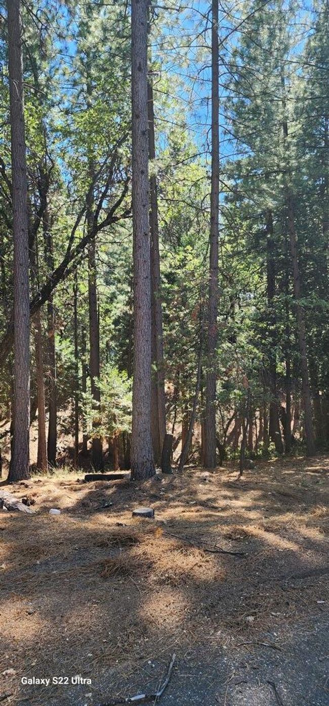 5701 Lupin Lane, Home with 0 bedrooms, 0 bathrooms and null parking in Pollock Pines CA | Image 7