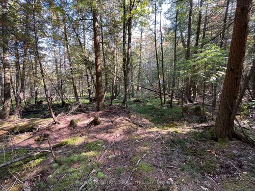 Lot 25 Champlain Rd, Tiny, ON, L9M | Card Image