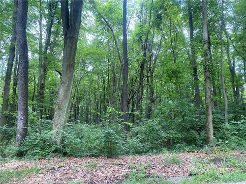 0 Woodlands Dogwood & Lakeview, Connoquenessing Twp, PA, 16033 | Card Image