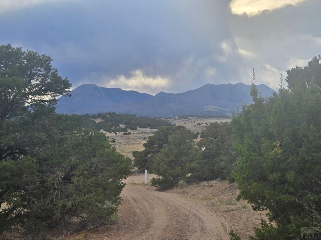 Residential in Walsenburg 4