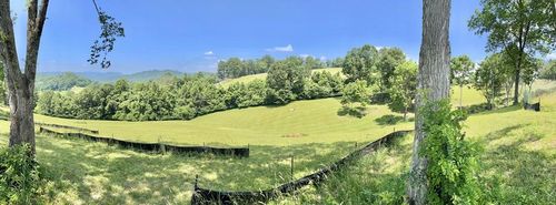 21 & 22 Lake Mist Trl, Butler, TN, 37640 | Card Image