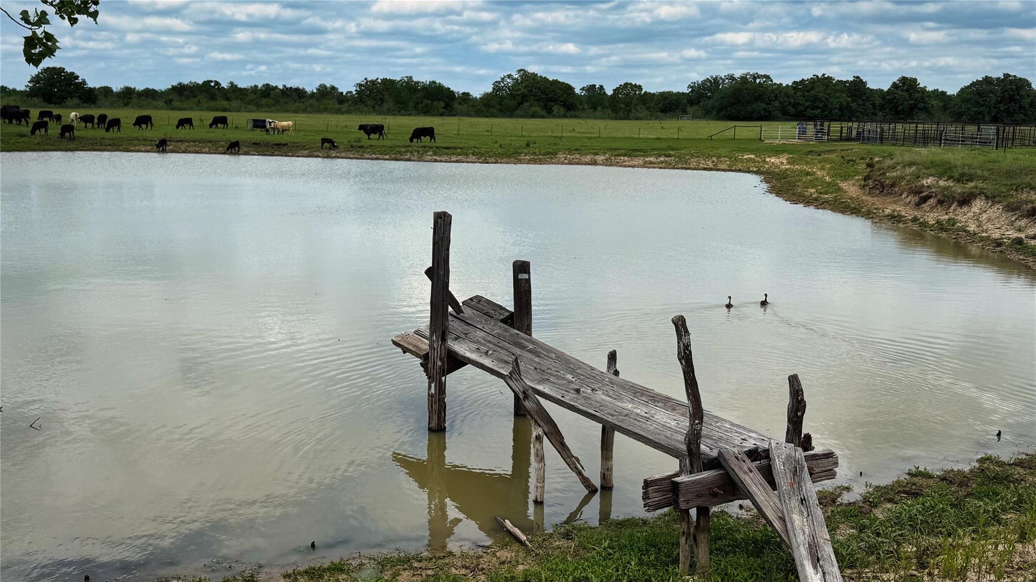 Farm in Rockdale 3