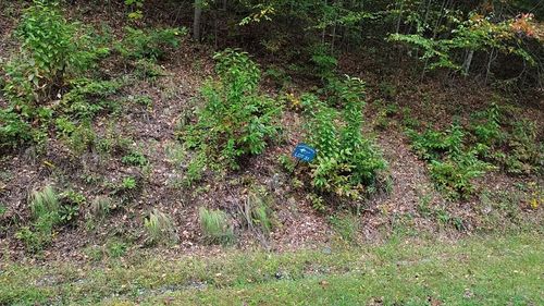 31 Waterdance Dr, Cullowhee, NC, 28723 | Card Image