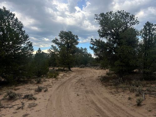 TBD Forest Road 556, Carson, NM, 87517-0000 | Card Image