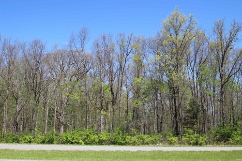 0 Hessler & Benton Road, Muncie, IN, 47304 | Card Image