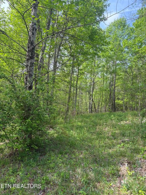 157 Casteel Rd, Sparta, TN, 38583 | Card Image