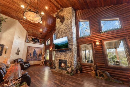 795 Watson Rd, Branson, MO, 65616-7269 | Card Image